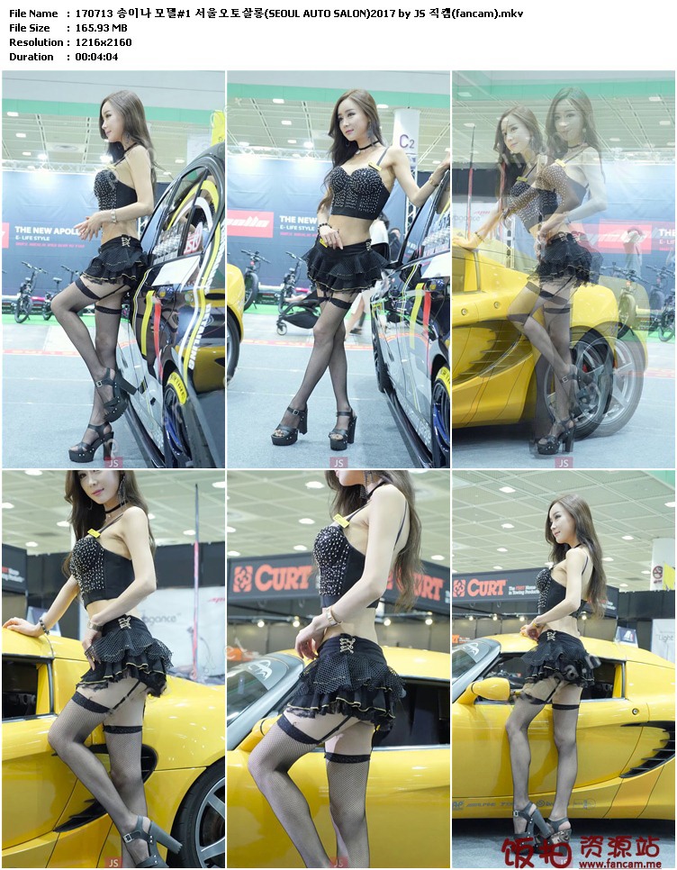 2017首尔汽车沙龙车模showgirl视频212视频合集预览图 2