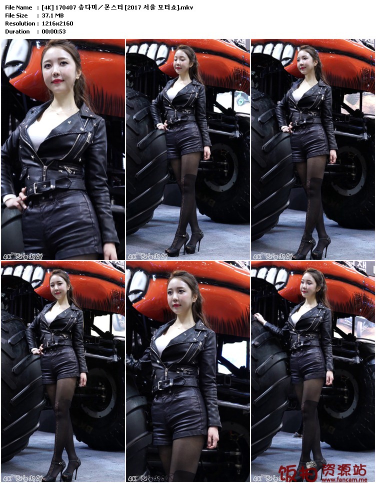 2017 首尔车展Show showgirl视频290视频合集预览图 3