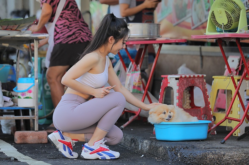 247.漫步美功铁道市场图片视频