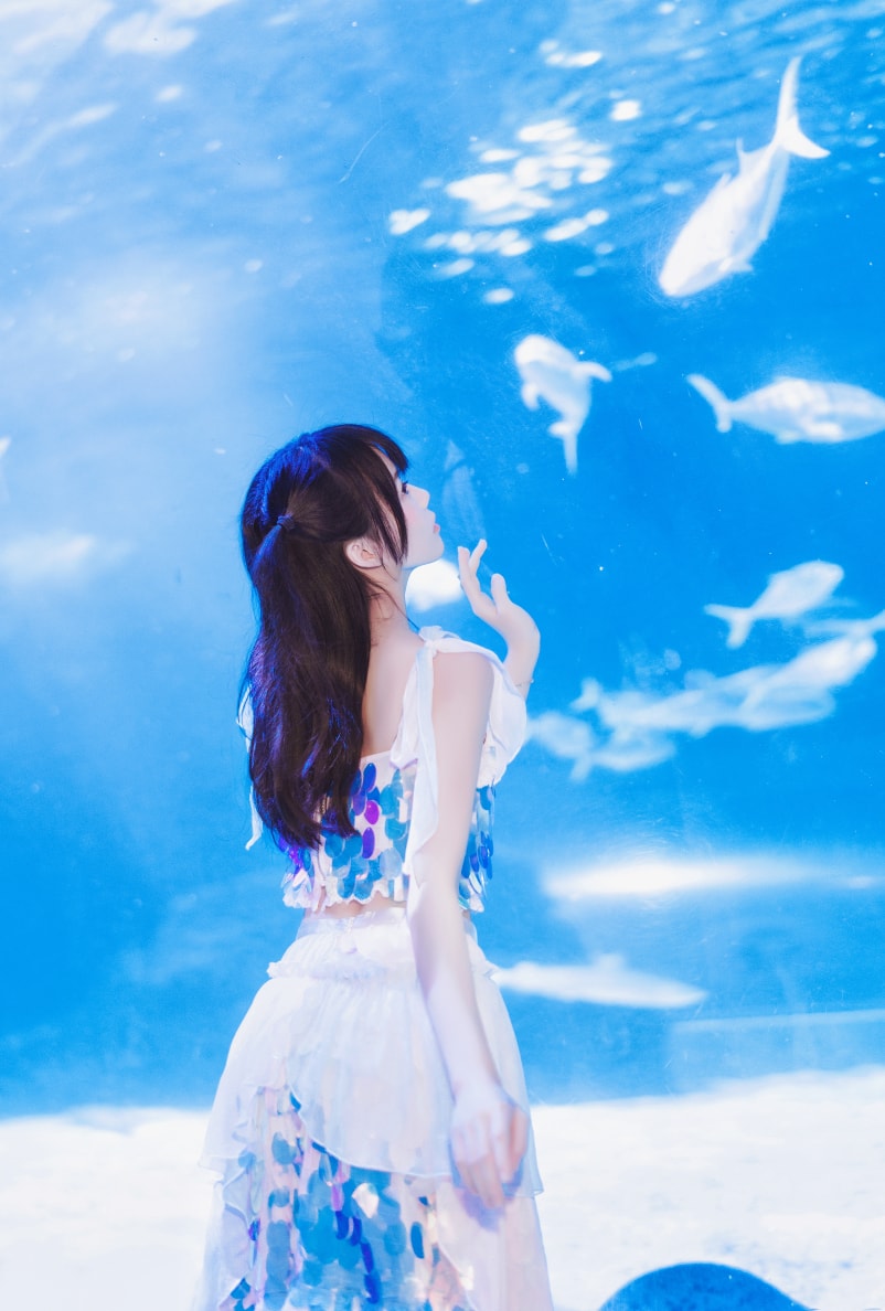 77d3fc444b4c403