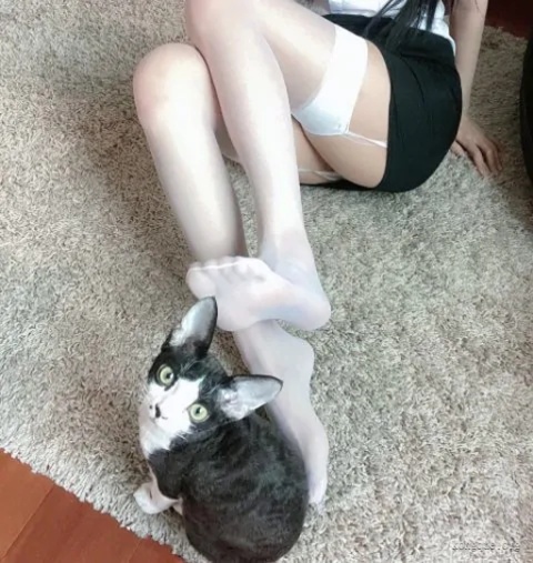 51酱COSPLAY写真作品合集&随包视频预览图 4 51酱COSPLAY写真作品合集&随包视频预览图 4